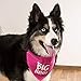 Pavilion Gift Company Big Sister Pink Paw Print Large Dog Slip on The Collar Bandanna