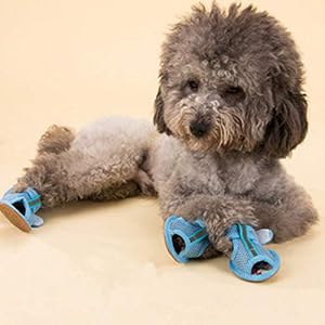 Ipetboom 4pcs Summer Shoes Pet Supplies Dog Boots Easy to Clean Shoes Blue Shoes Pink Rain Boots Puppy Sandals Shoes for Dogs for Hot Weather Universal Pet Shoes Medium Dog Breathable Boots Ipetboom 4pcs Summer Shoes Pet Supplies Dog Boots Easy to Clean Shoes Blue Shoes Pink Rain Boots Puppy Sandals Shoes for Dogs for Hot Weather Universal Pet Shoes Medium Dog Breathable Boots