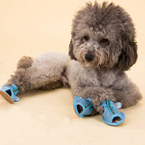 Ipetboom 4pcs Summer Shoes Pet Supplies Dog Boots Easy to Clean Shoes Blue Shoes Pink Rain Boots Puppy Sandals Shoes for Dogs for Hot Weather Universal Pet Shoes Medium Dog Breathable Boots Ipetboom 4pcs Summer Shoes Pet Supplies Dog Boots Easy to Clean Shoes Blue Shoes Pink Rain Boots Puppy Sandals Shoes for Dogs for Hot Weather Universal Pet Shoes Medium Dog Breathable Boots