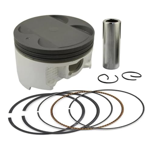 83 �~�����[�g��? 84 �~�����[�g���I�[�g�o�C�s�X�g���ƃ����O�L�b�g AN400 400 DL650 SV650 DR350 AN DL SV DR 400 650 350 �ɓK��(Assembly 84mm)