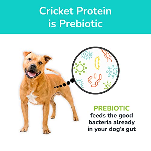 Jiminy's Dry Dog Food - Hypoallergenic Dog Food, Made In The Usa, Gluten-Free, Sustainable, Sensitive Stomach Dog Food, High Protein - Cravin' Cricket Insect Protein Oven-Baked Dog Food 3.5 Lb Bag #TOP3