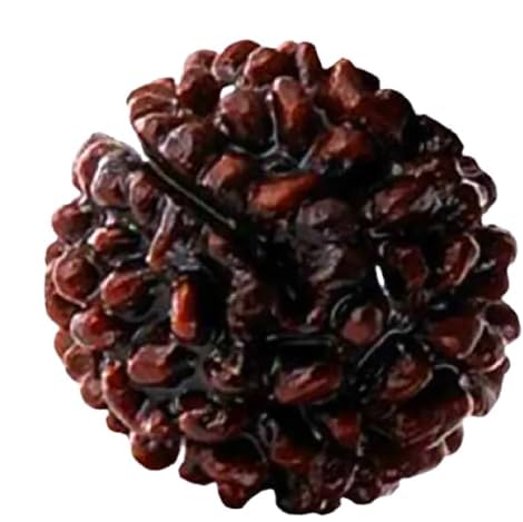 1 Mukhi Rudraksha Original Certified Nepali GOL Dana Beautiful Round Om TriShul Shiv Shape Excellent One Face Rudraksha | Ek Mukhi Rudraksh Beads With Lab Certificate