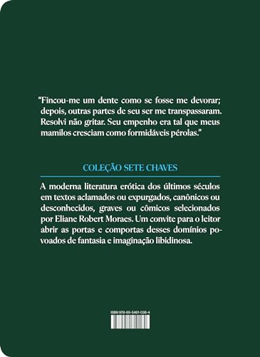 Rosa mística: Contos eróticos