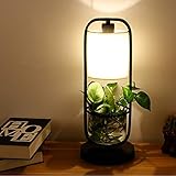 Lichtquelle: E27 Lampenkopf, leicht zu ersetzen, Energieeinsparung und Umweltschutz