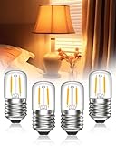 Bonlux E27 Screw Light Bulb, 2700K Warm White 2W Low Watt Light Bulbs for Night Light, T28 Tubular LED Pygmy Filament Light Bulbs for Table lamp, Desk Lamp, Bedside Lamp, Non-Dimmable, 4-Pack
