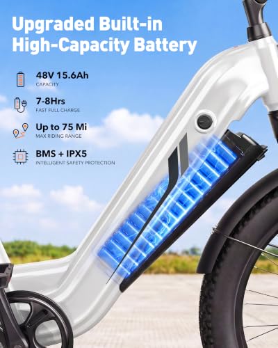 Hopepeak C30 Fat Tire Ebike