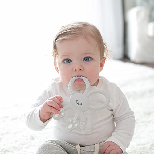 Dr. Brown's Flexees Gray Bunny, Soft 100% Silicone Baby Teether, Bpa Free, 3M+ #TOP2