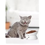 Y YHY Cat Bowl Anti Vomiting, Raised Food Bowls, Tilted Elevated Bowl, Ceramic Pet Food Bowl for Flat Faced Cats, Small Dogs, Protect Pet's Spine, Dishwasher Safe (5 Inches, White) - Image 4