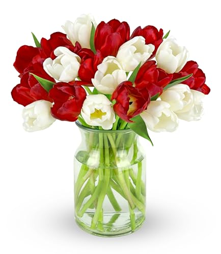 Benchmark Bouquets - 20 Stem Seasonal Tulips (Glass Vase Included)