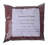 Potassium Fertilizer for Plants, Muriate of Potash Fertilizer (60% Potassium Content) Plant Food for Plants & Flower Growth (1.9, Pounds)