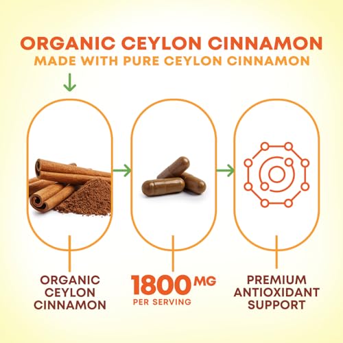 Nature's Nutrition Extra Strength Cinnamon Capsules