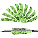 HANDBAIGE 36pcs 4-Inch Shield Cut Natural Feathers Arrow Real Fletchings Archery Right Wing Vanes Arrow Turkey Fletches for Hunting and Shooting (Green)