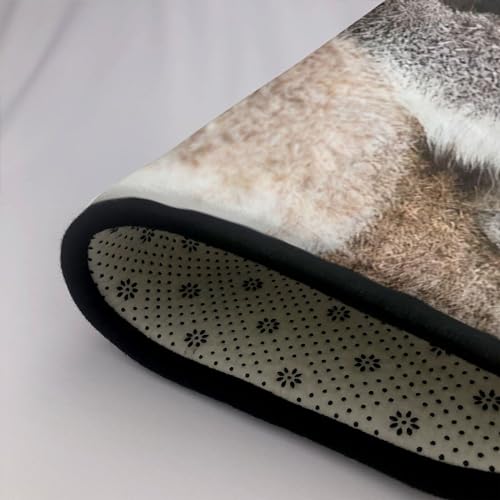 Tapis koala super doux imprimé haute définition EdWal - 6