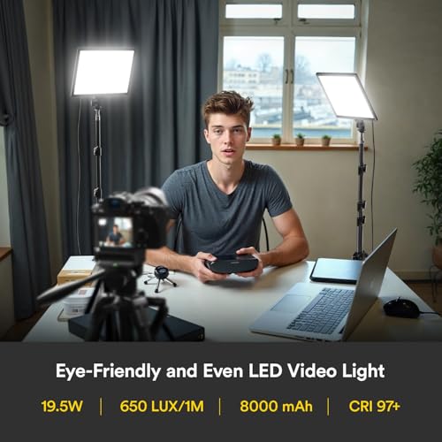 RALENO 13" LED Video Light Panel, 2-Pack Bi Color Photography Lighting Kit with 75" Stand & LCD Display, Studio Lights with 8000mAh Built-in Battery for Video Recording/Tiktok Live Streaming/Game