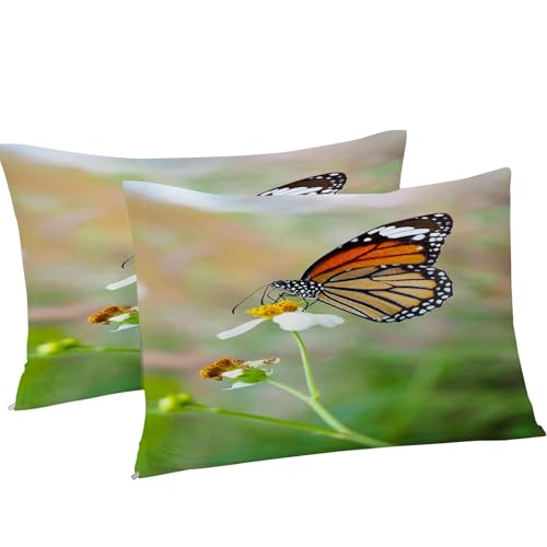 Housse de couette 240x260 papillon fleurs microfibre avec 2 taies