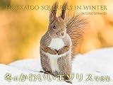 Hokkaido squirrels in winter (Japanese Edition)