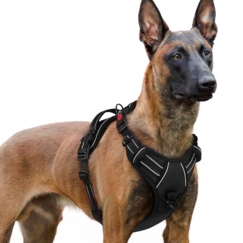 rabbitgoo Large Dog Harness with 3 Buckles