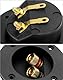 QWORK® 2 Stück 2-Wege Lautsprecherbox Anschlussklemme, runde Federbecher-Anschlüsse, Subwoofer Anschlussklemme, Lautsprecheranschlüsse, Lautsprecher Runde Spring Cup