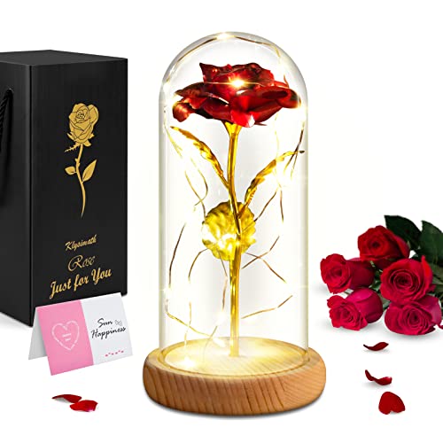 Best Beauty And The Beast Rose Reviews [Latest] List of Top Ten