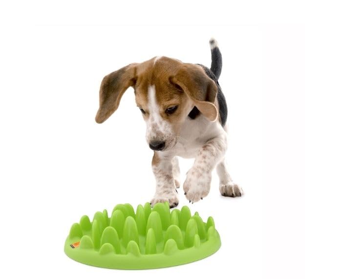 Company of Animals Green Slow Feeder - Mini x 1
