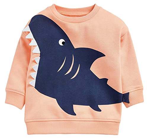 HOMAGIC2WE Toddler Boys Sweatshirts Kids Fall Cotton Long Sleeve Crewneck Casual Cartoon Pullover Loose Soft Outfit Shirt