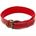 Logical Leather Padded Dog Collar - Best Full Grain Heavy Duty Genuine Leather Collar - Red - Large