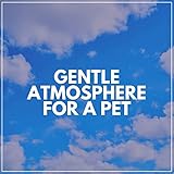 Ambient 1 Records