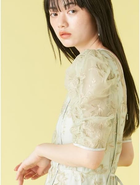 Amazon.co.jp: [リリーブラウン] チュール刺繍ドレス LWFO252035