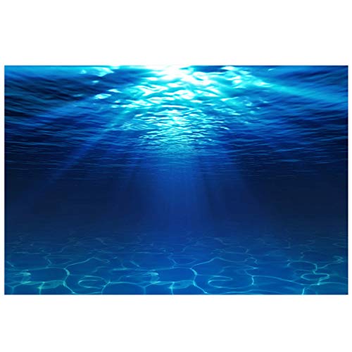 The Best Background For Fish Tank 55 Gallon For 2022