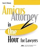 Amicus Attorney in One Hour for Lawyers