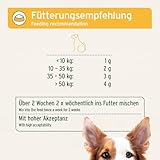 AniForte WermiX für Hunde 250g - Natürliche Kräuter, seit 10 Jahren bewährte Alternative, Unterstützung durch Saponine, Bitterstoffe, Thymian, Wermut & Salbei