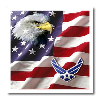 Transfert thermique USAF Airforce grand écusson thermocollant multicolore 25,4 cm