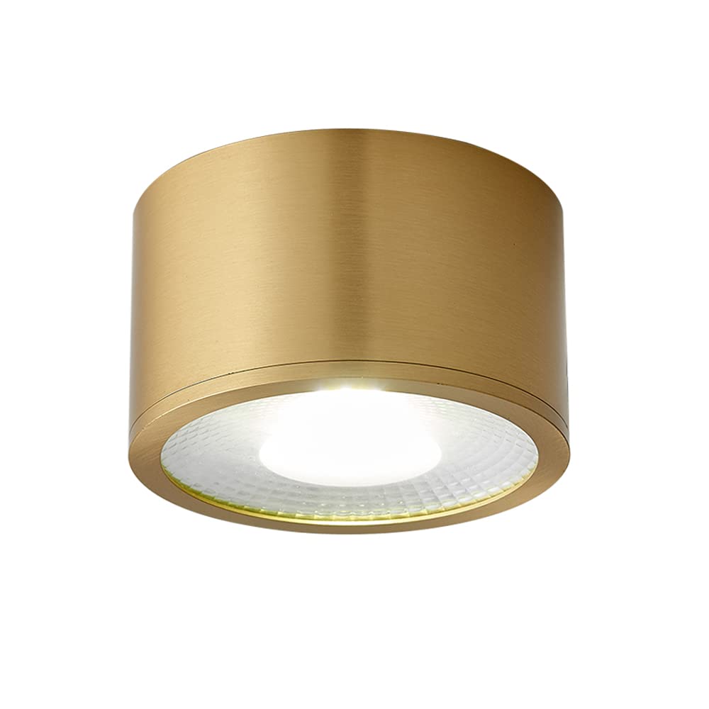 LED Ceiling Spotlight, Indoor Surface Mounted Downlight, Modern Ceiling Lights for Hallway Corridor Gallery Kitchen Living Room Bedroom 7W 4000K, Brass