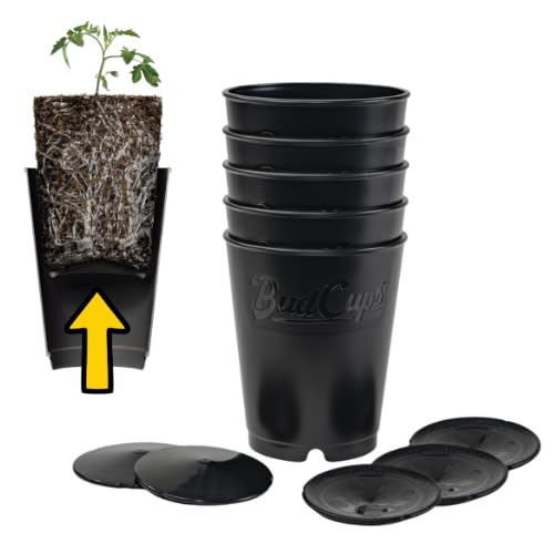 BudTrainer BudCups Nursery Pots for Seedlings, 16 Oz, Black, 5-Pack