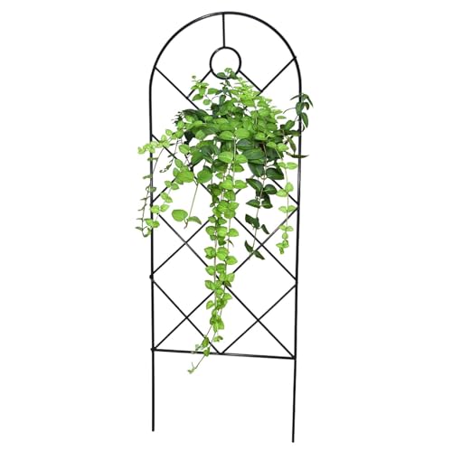 Garden Trellis Support pour en Pot intérieur empilable | Fleurs de légumes décoratives Trellis Vine pour décoration de Jardin pour Robuste dans des Conditions météorologiques en Pot de