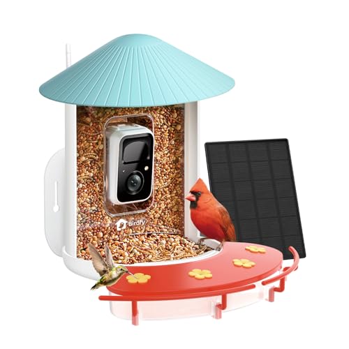 NETVUE Birdfy Hummee Smart Hummingbird Feeder with Camera Auto Capture Bird Videos & Birdwatching Up-Close 2 in 1 Feeders Attract More Hummingbirds Ideal Present for Bird Lover