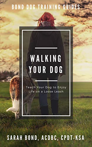loose leash dog training