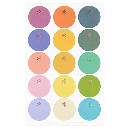 Erin Condren Designer Sticker Pack - Jumbo Circles. Decorative, Functional And Cute Stickers For Customizing Planners, Notebooks, Monthly Calendars, And More #TOP1