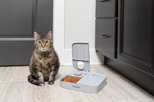 PetSafe Automat do karmy na 2 posiłki, wbudowane zegary sterujące, Misa bez BPA, nadaje się do suchej karmy, szary, 1 sztuka (1 opakowanie) - imagen 8