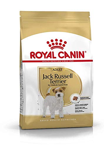Royal Canin Jack Russel Adult 7,5 kg, 1er Pack (1 x 7.5 kg)
