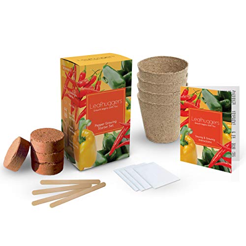Kit Cultivo Pimientos Set De Cultivo Interior Con Semillas ...