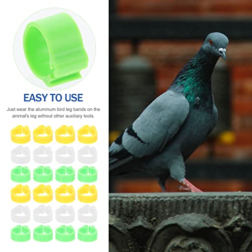 POPETPOP 300pcs Bandas de pombo de pombo de 300pc