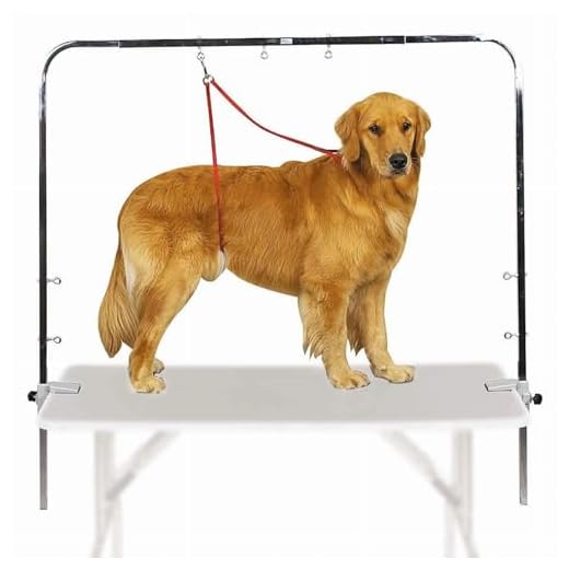 Master Equipment Zinc-Plated Steel Overhead Pet Grooming Arm