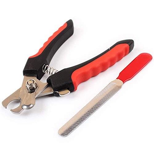 JISTL Dog Nail Clippers and Trimmer with Safety Guard to Avoid Over-Cutting Professional Pet Nail Clipper Quick Sensor for Dogs or Cats