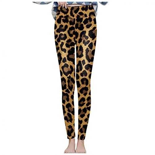 レギンス レディース 着圧 タイツ 裏起毛 パンツ