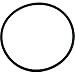 Pentair 354533 O-Ring Lid Replacement Sta-Rite Dynamo Aboveground Swimming Pool Pump