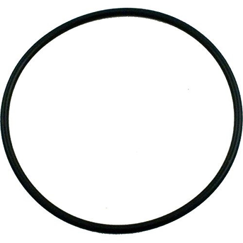 Pentair 354533 O-Ring Lid Replacement Sta-Rite Dynamo Aboveground Swimming Pool Pump