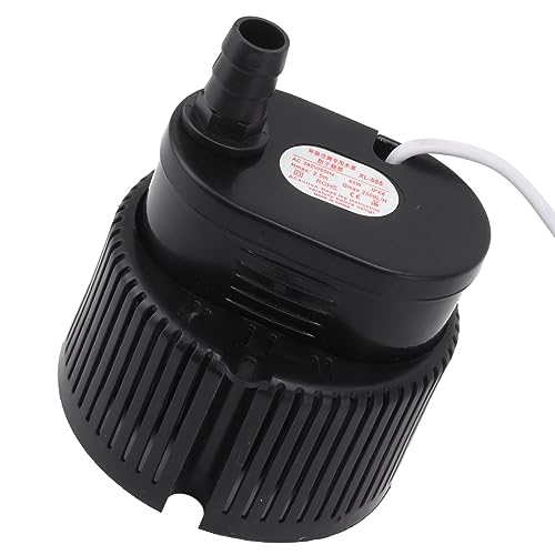 Pompe à eau calme à faible bruit et performance stable