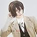 Aicos Anime Cosplay Wig Brown Hair for Men, Brown Layer Wig for Cosplay Show + Wig Cap
