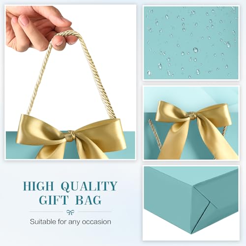 Image of JMANNI Gift Bags with Handles, 13 inch Medium Gift Bag for Presents, 1 Pcs Bags with 2 Tissue Paper and 1 Cards for Graduation Baby Shower Wedding Fathers Day Mother's Day Birthday Party (Baby Blue